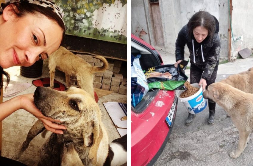  This kind-hearted woman drives up the hills to take care of neglected dogs there