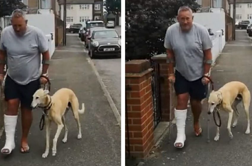  After $400 trip to vet, man discovers his hobbling dog was just copying him out of sympathy