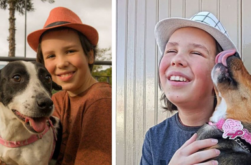  11-year-old boy dedicates every Saturday to giving baths to stray dogs to help them get adopted