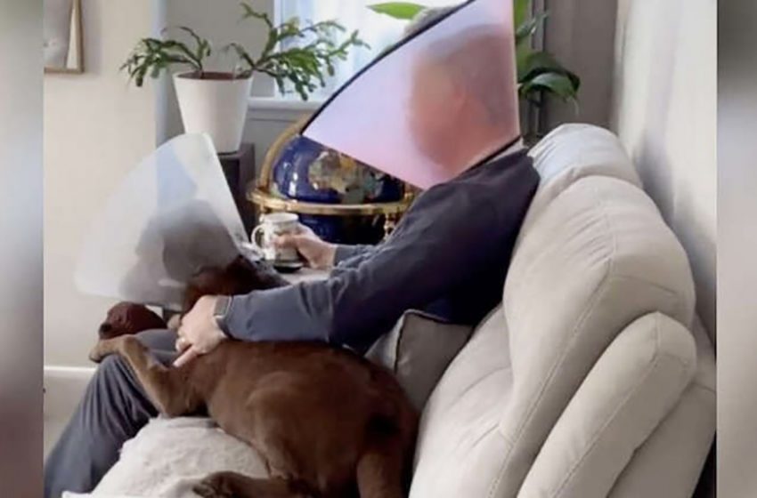  The man put a Cone of Shame to encourage his dog