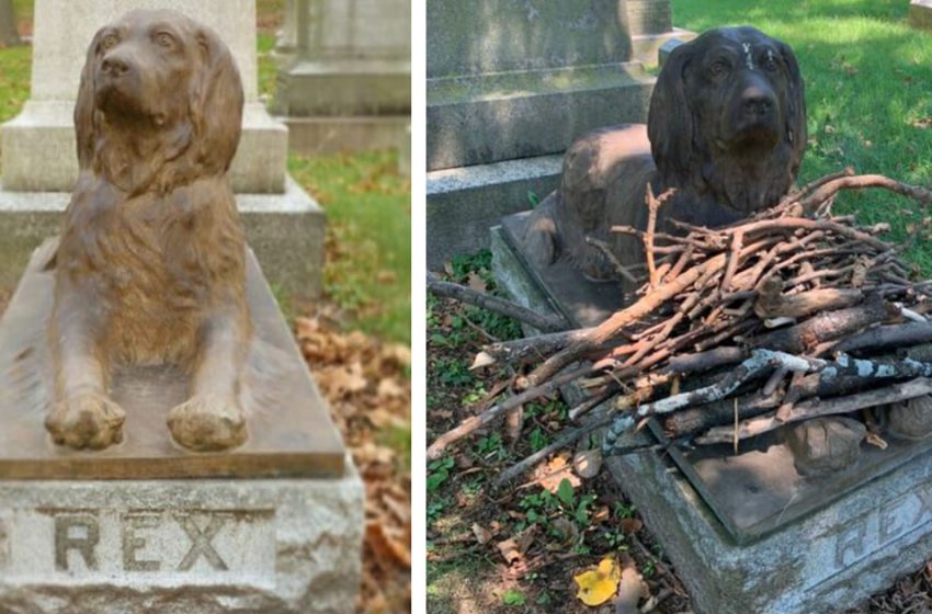  People put sticks at the graveside of dog who died 100 years ago