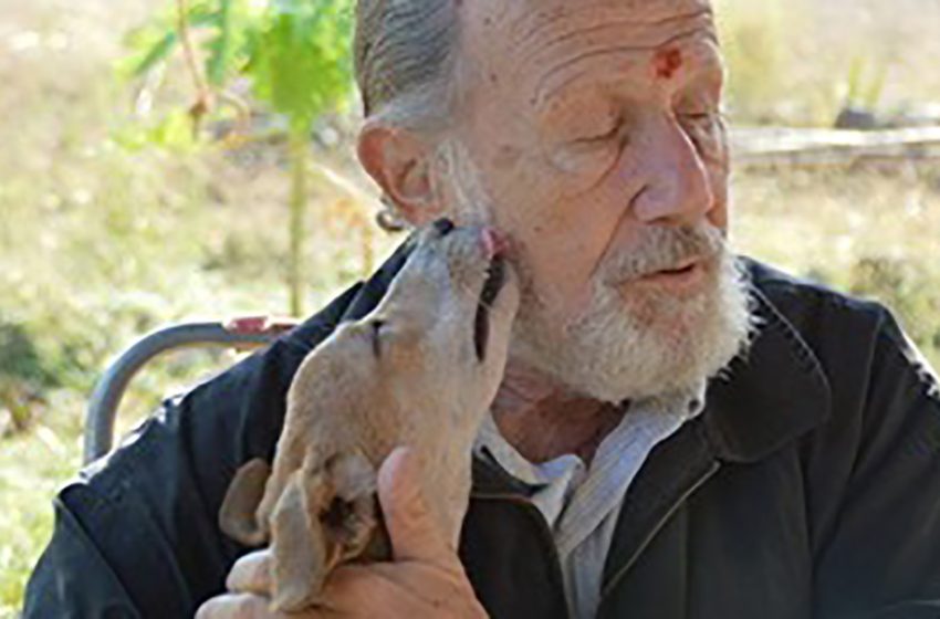  The retired man created an animal shelter in India