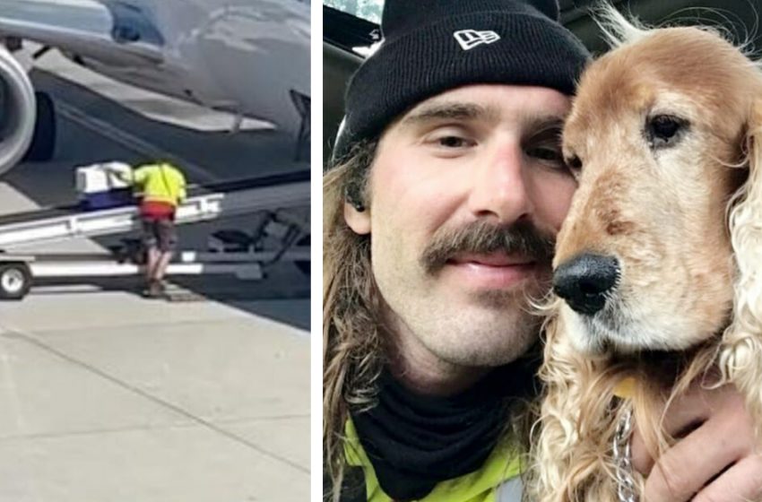  The baggage handler became famous after encouraging the dog to get on airplane