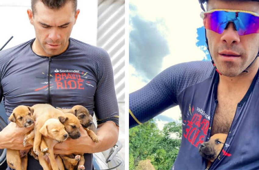  The cyclist found five little puppies and helped them by riding to his house