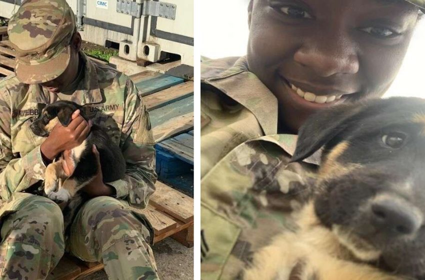  The Army sergeant and the rescued puppy had an incredible reunion