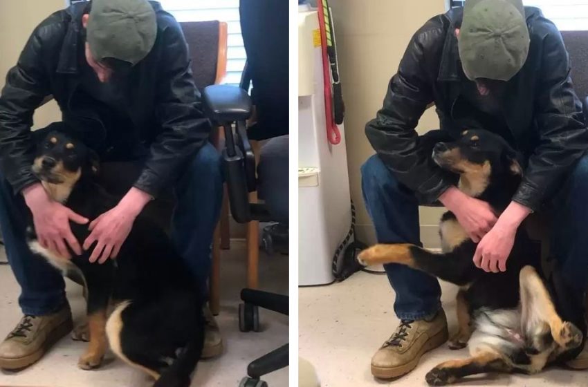  The homeless boy reunited with his adorable pup after they found a home