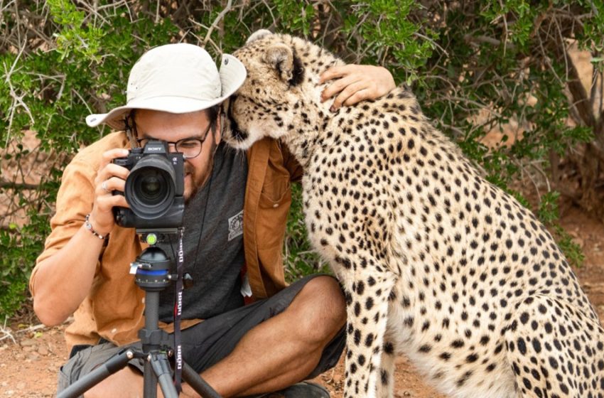  The nice cheetah approached the man and hugged him surprisingly