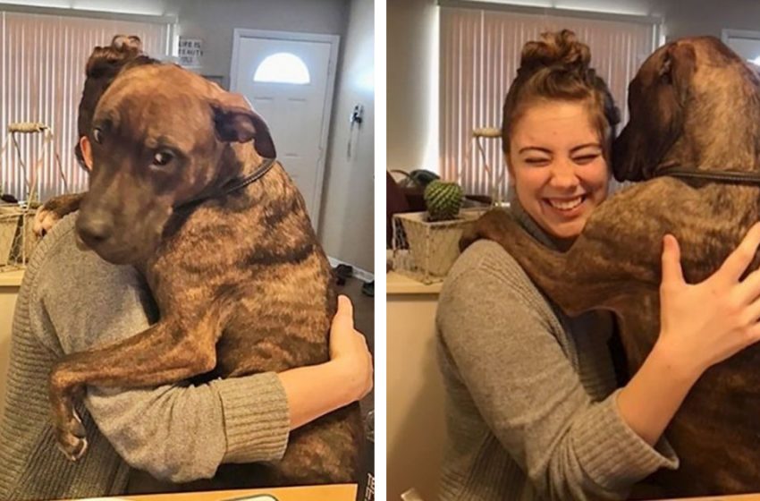  The cute dog always hugs his woman to show his gratitude for adopting him