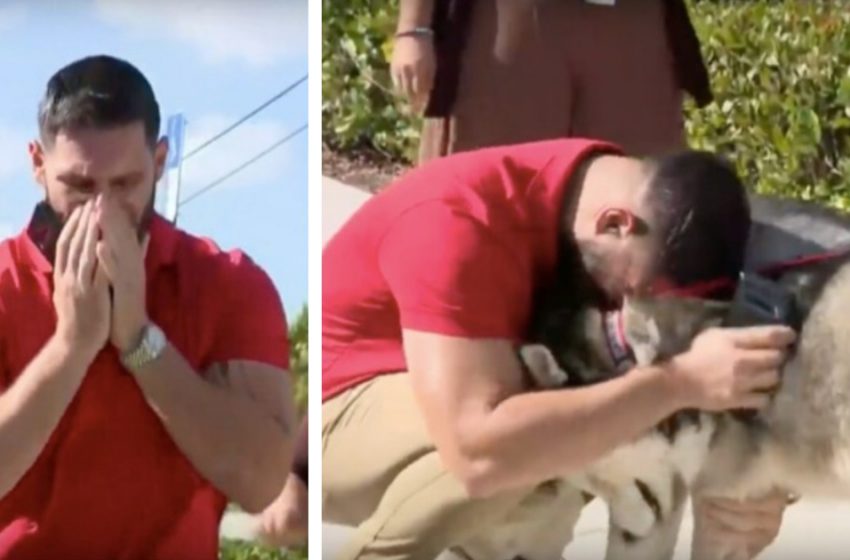  When the man reunited with his pets he began to cry with joy