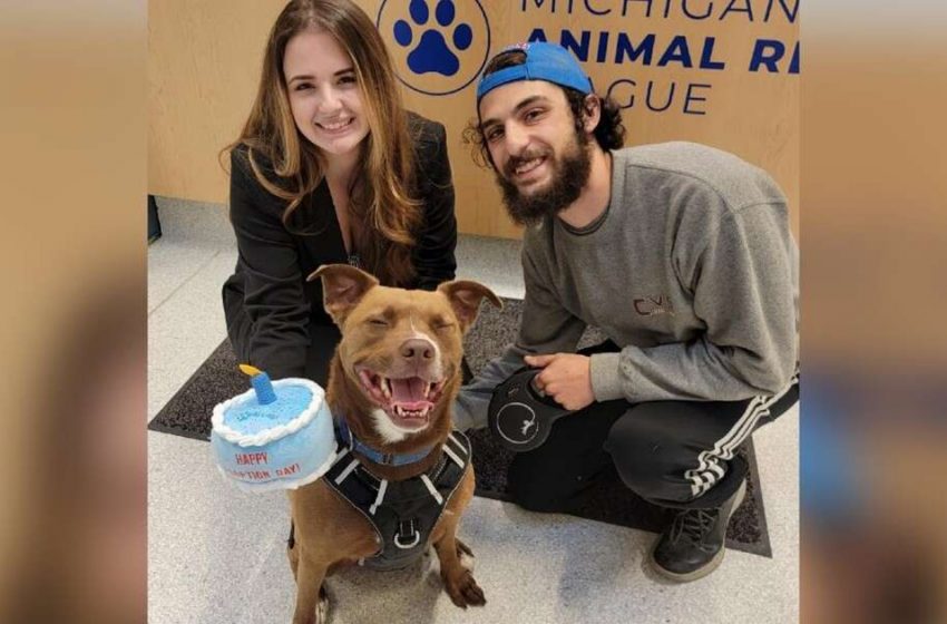  The sweet dog who was waiting long for adoption got excited to find a forever home