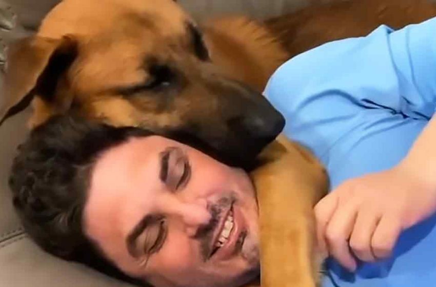  The nice adopted dog became the man’s close companion