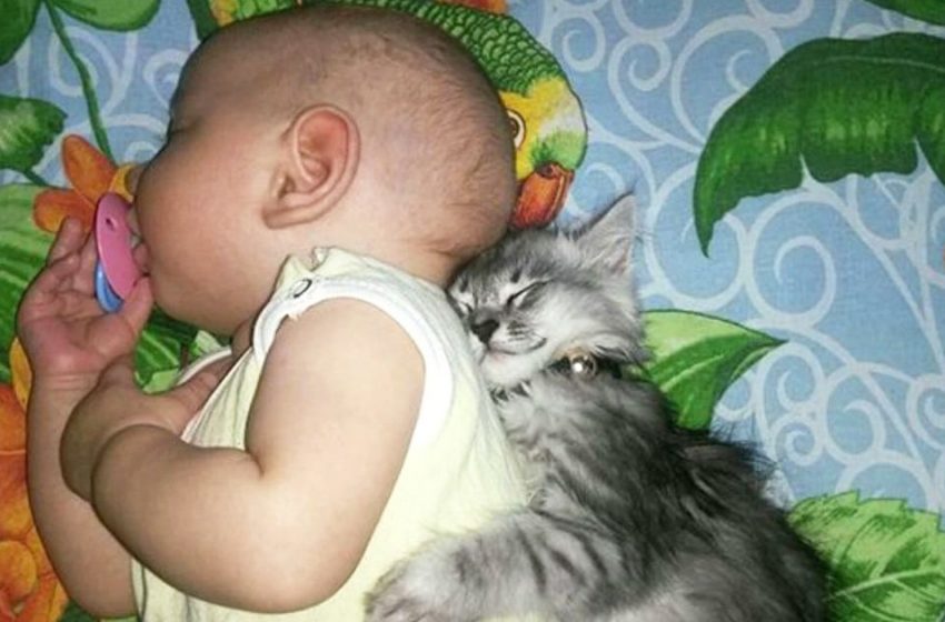  10 photos showing a storng friendship between children and animals that will fill your day with positive emotions