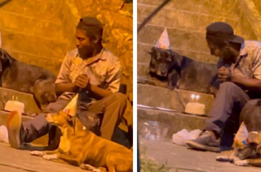  Homeless man threw birthday party for his beloved dog