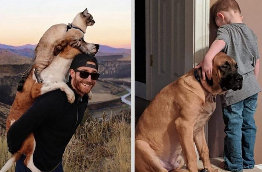  7 touching shots that show that the friendship between pets and humans is real