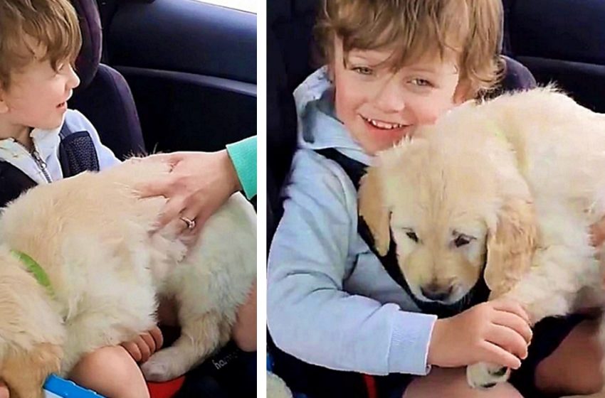  After given a puppy boy with autism shows emotion for the first time