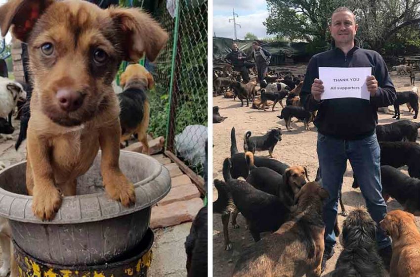  Man looks after more than 750 unwanted dogs in his shelter