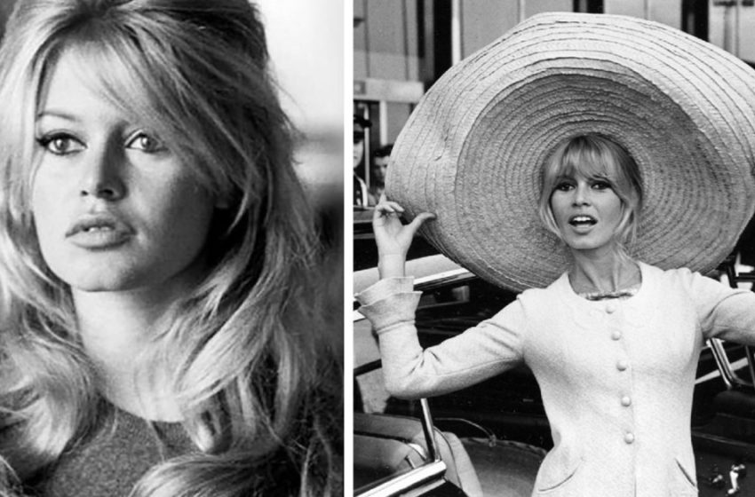  Brigitte Bardot looks stunning in her 87 years!