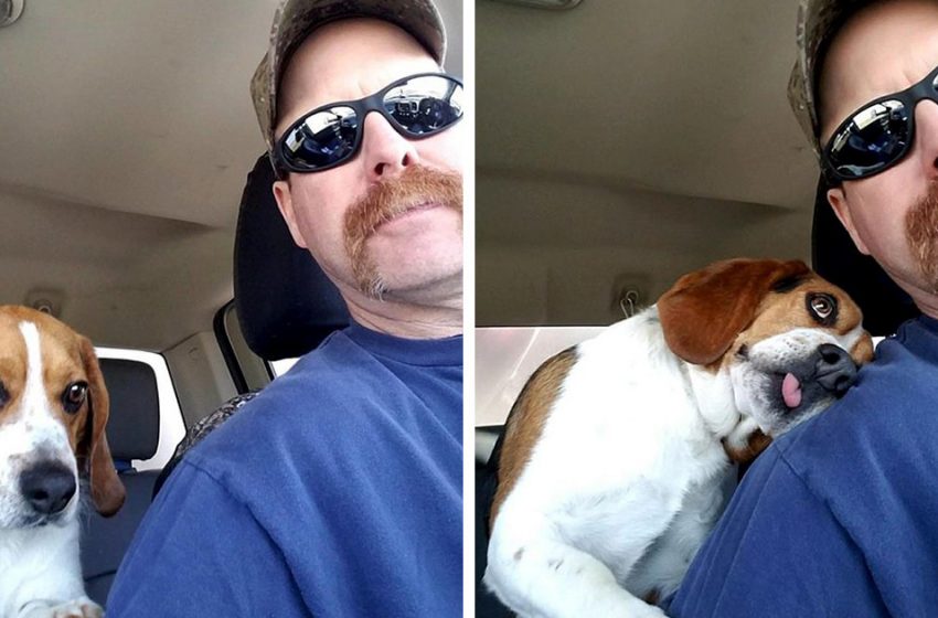  Dog can’t contain his gratitude after being rescued by a man