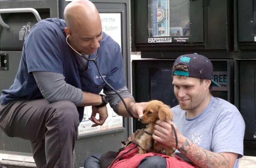  This veterinarian walks the streets of California to treat stray animals for free