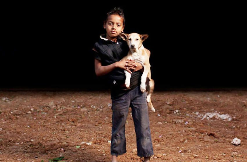  Orphan boys prefer to share their meager food with the 10 dogs they adopt