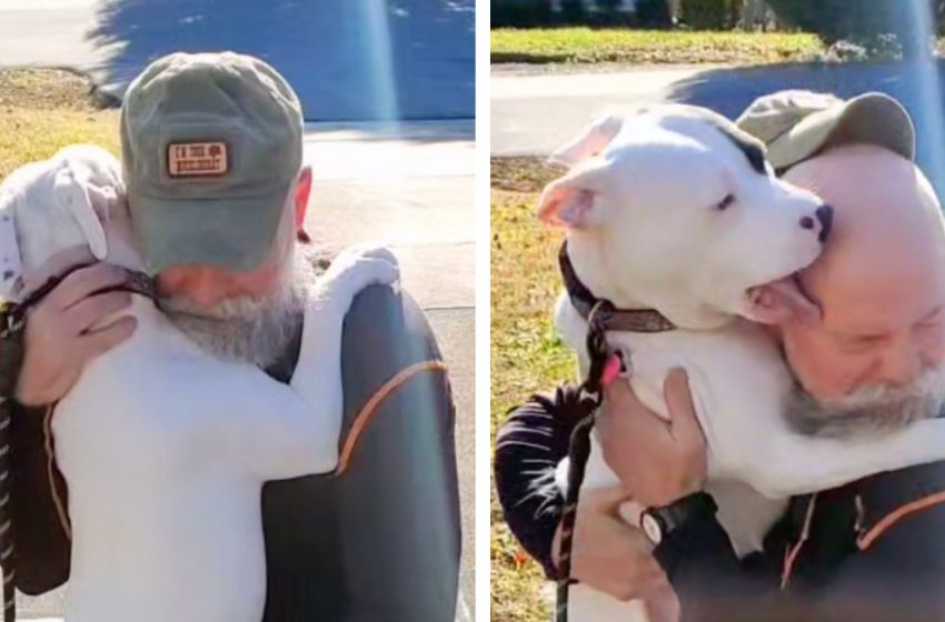  Overjoyed dog can’t stop hugging and kissing his new father after being adopted