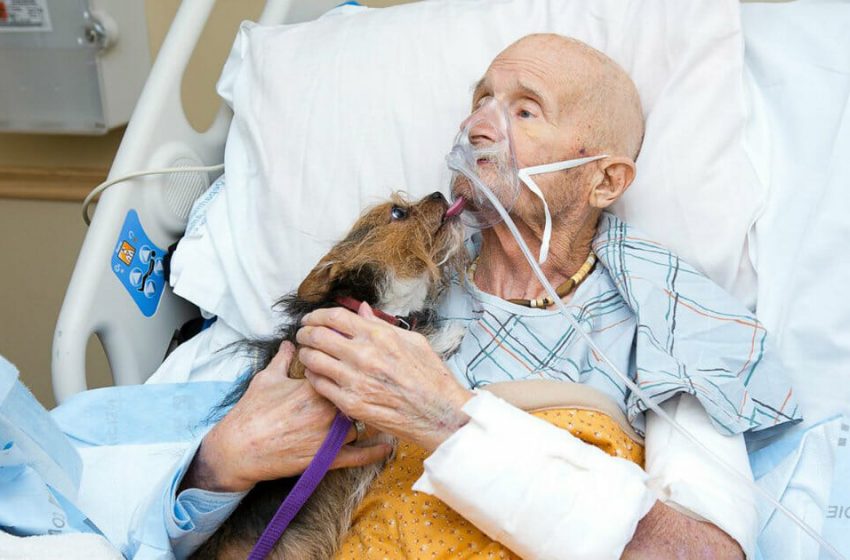  Dying hospice veteran gets his last wish: To see his dog one last time