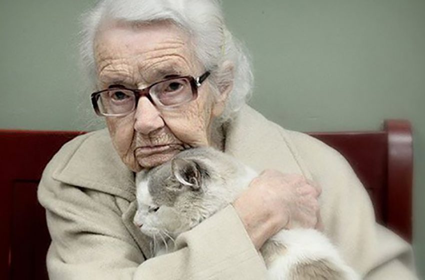  Abandoned 20-year-old cat found a new home with a 101-year-old woman