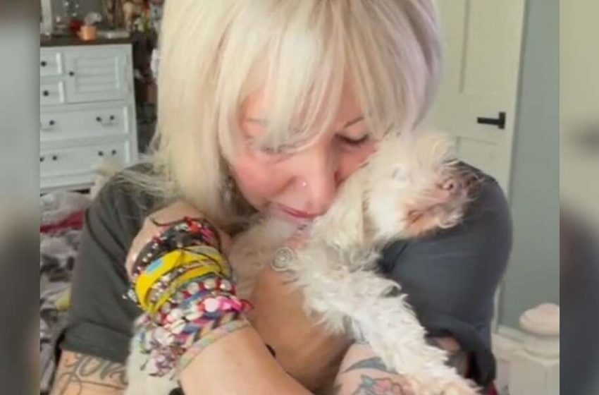  The blind and deaf pup learned to love and feel it in an amazing way