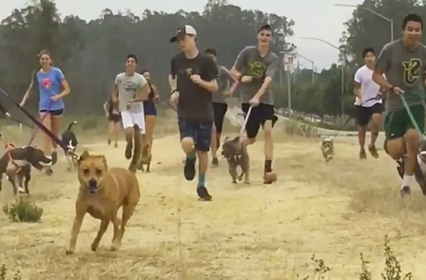  This unusual run time will be unforgettable for the high school running team