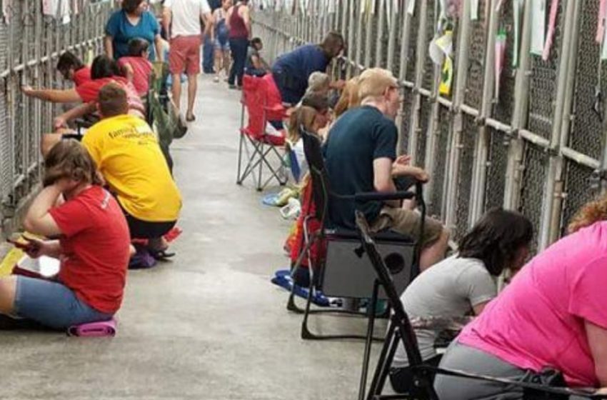  People went to comfort the shelter animals instead of being outside on 4th of July