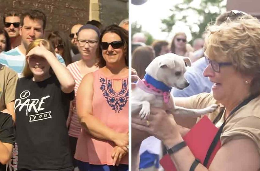  The sweet dogs gain second chance to live due to these kind people