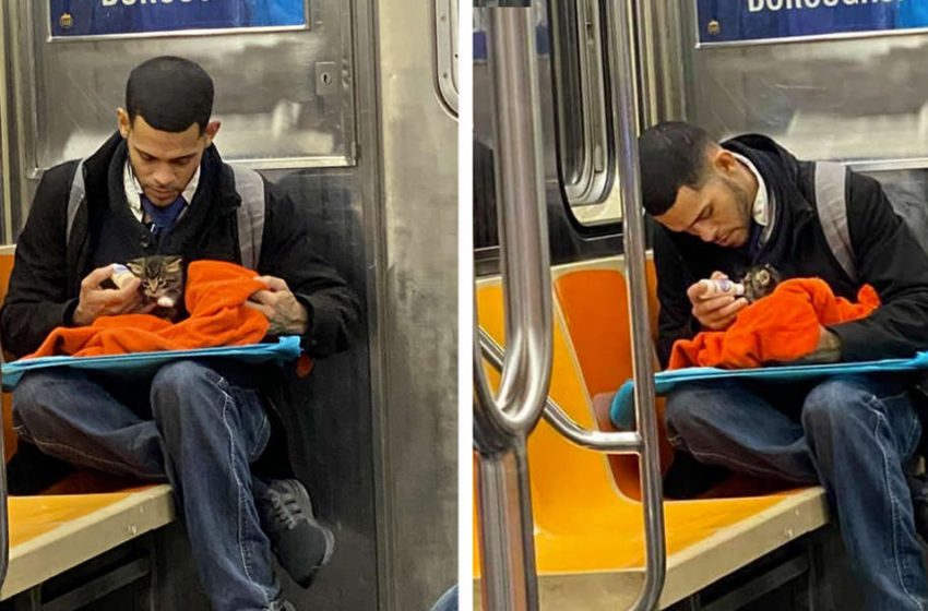  The caring man was caught to feed his little cat and taught a great humanity with his act