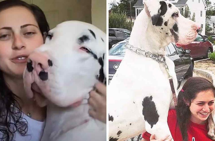  Awesome Dane mopes when his mother overlooks his morning embrace