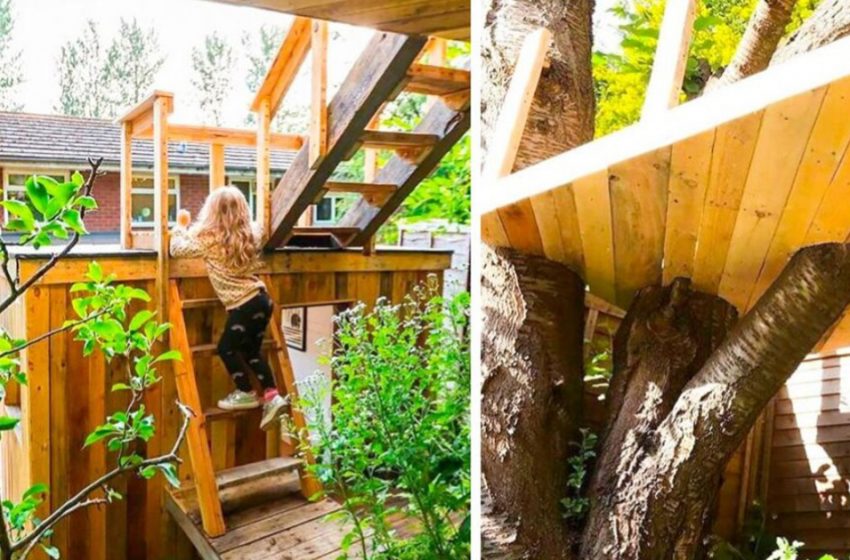  A caring father built a tree house for his daughters. It was marvellous!