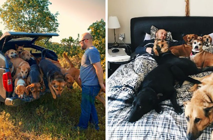  The caring man turned his farm to a lovely shelter for needed animals