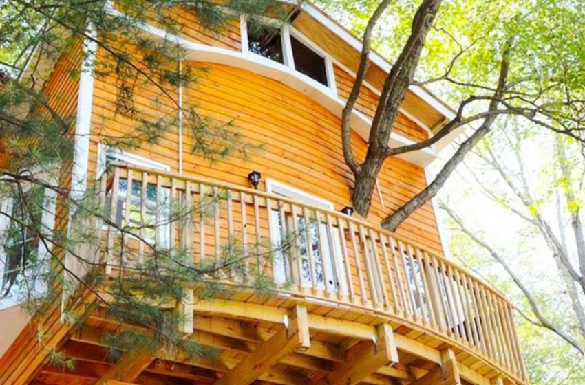  Grandpa built a tree house for his grandchildren. It is like a miracle!