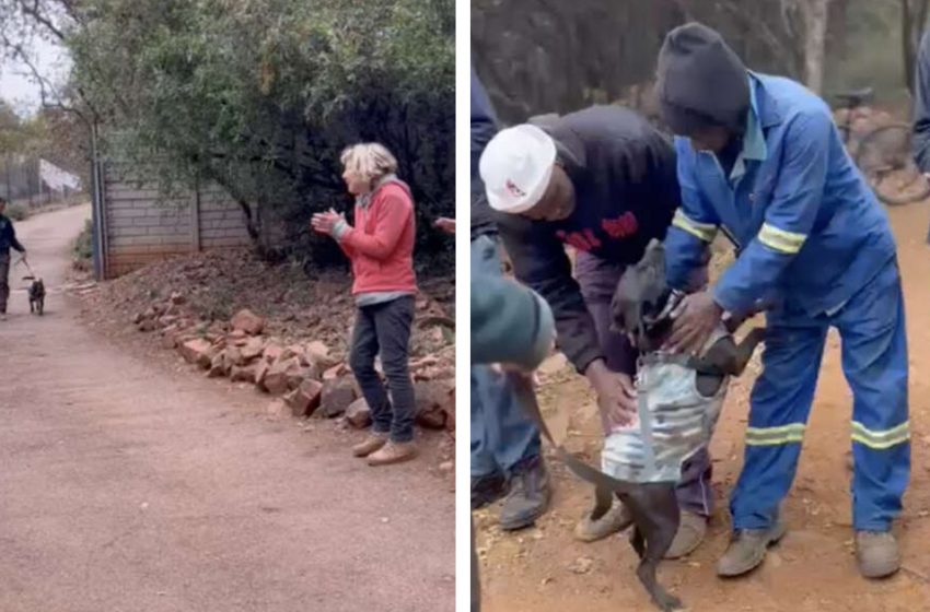  The shelter staff gave the warmest farewell to their beloved dog