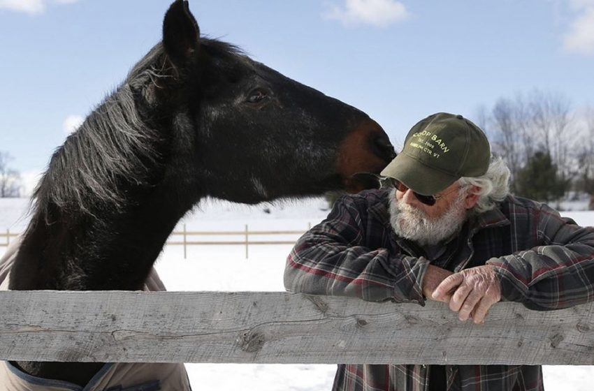  A 40-year-old resigned racehorse and a 58-year-old man share the most prominent friendship