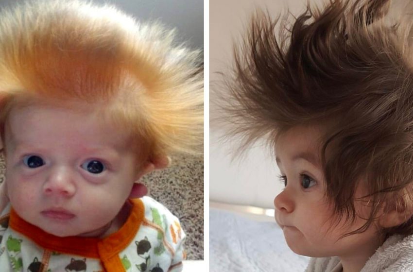  15 little kids who took the world not only by their charm, but also by their awesome hair