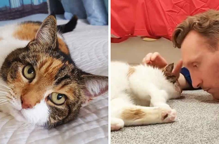  23-year-old kitty shares unique bond with her human