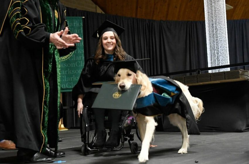  Service dog got his owner through grad school and was given his own degree