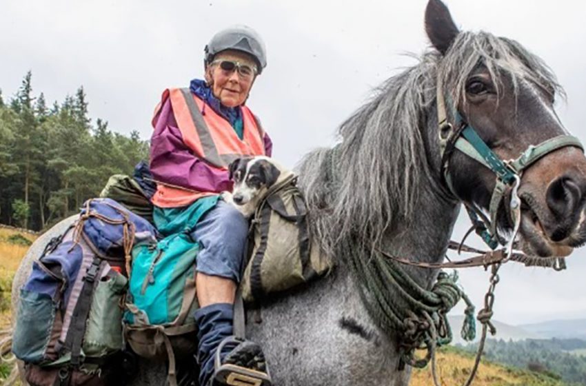  80-year-old woman makes annual 600-mile hike with her pony and dog