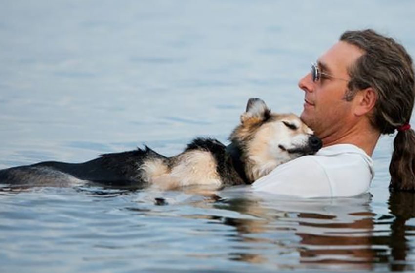  Every evening this man takes his sick dog to the lake, as the water helps to calm the pain