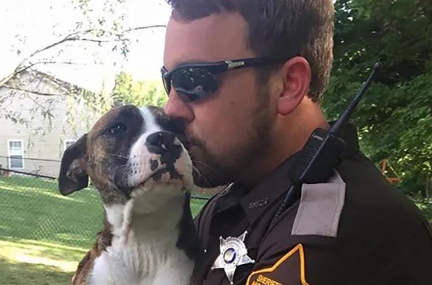  Undesirable pooch deserted by her proprietors in a stop was embraced by the police officer who protected her