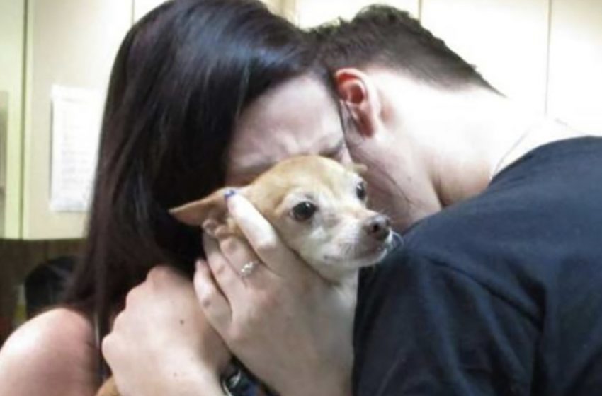  Lady listens commotion within the bushes and finds a small, modest dark piglet