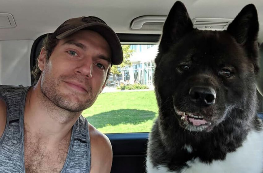  The worldwide actor Henry Cavill praises his dog to be his great support and companion