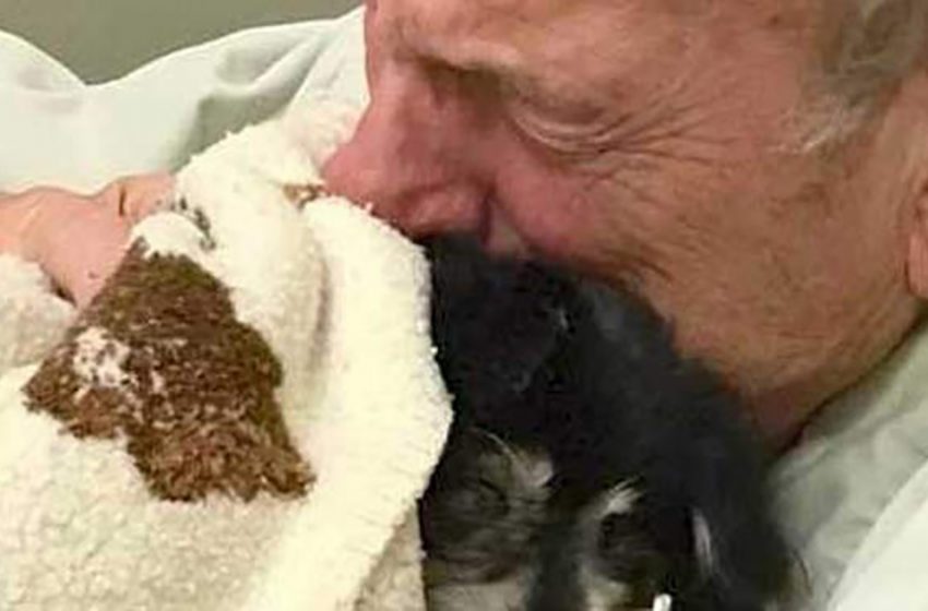  The elderly man passed away after losing his adorable companion