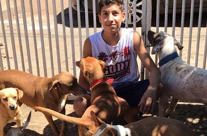  The kind boy made his dream come true opening a special animal shelter