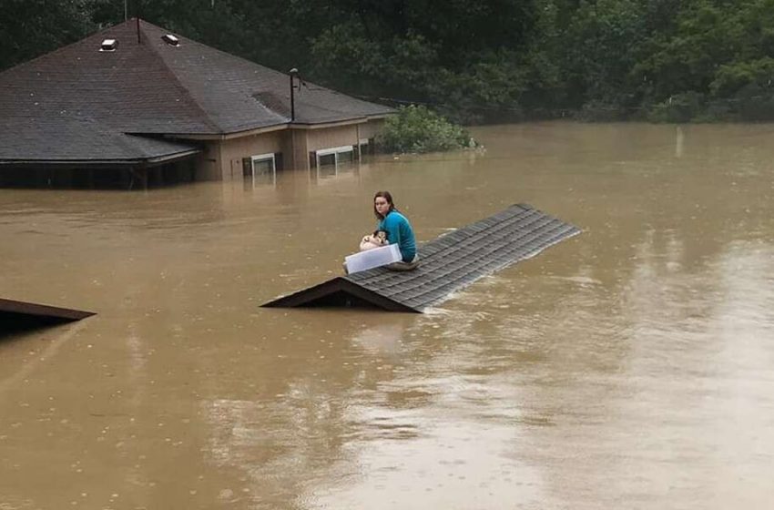  The girl saved her dog from the serious flooding by putting her in a plastic container