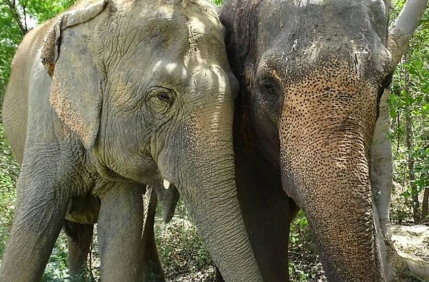  The adorable reunion of the three lovely sisters is really touching and amazing